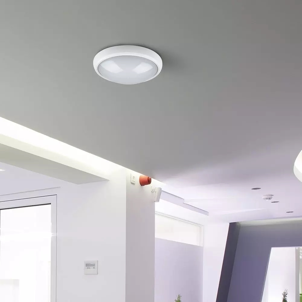 LED plafond lamp 12W ovaal IP54 840lm 6400K helder wit